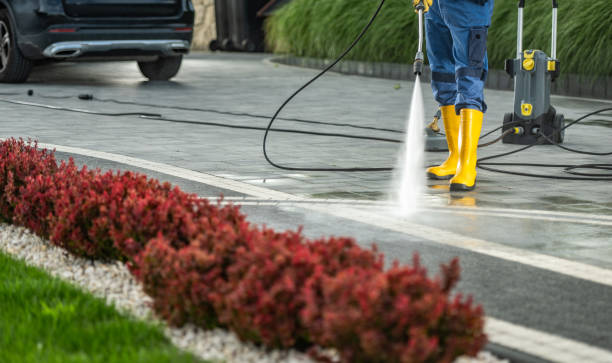 Best Dumpster Area Cleaning  in Hernando Beach, FL